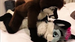 Геи в костюмах собак раком жестко ебутся в анус со стонами